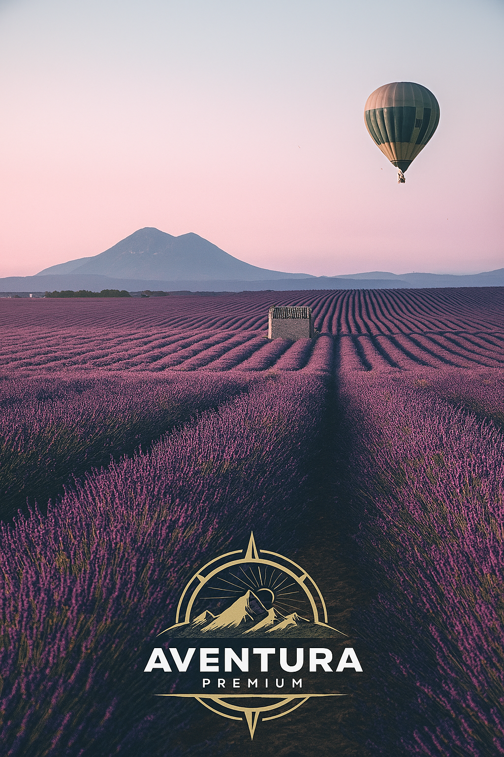 Campos de lavanda con globo en Provenza